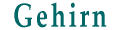 Gehirn